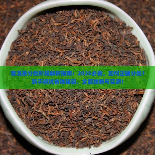 普洱茶分类阶段