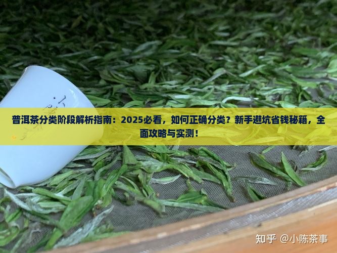 普洱茶分类阶段