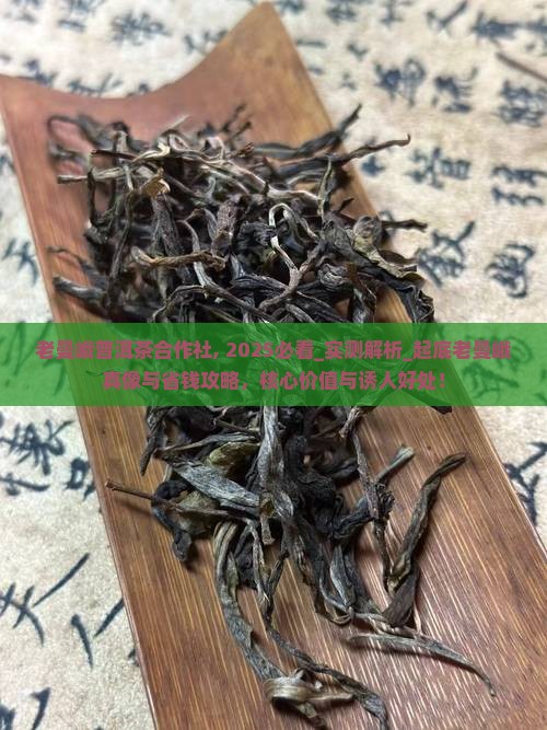 老曼峨普洱茶合作社
