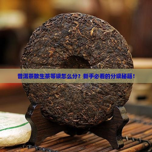 普洱茶散生茶等级划分