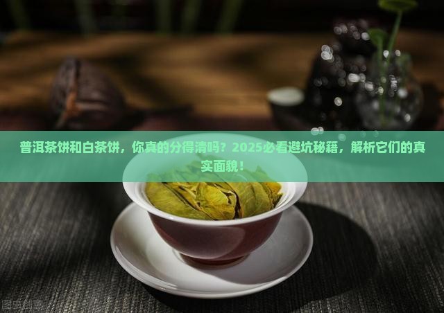 普洱茶饼与白茶饼的区别