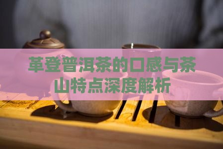 革登普洱茶的口感好深度