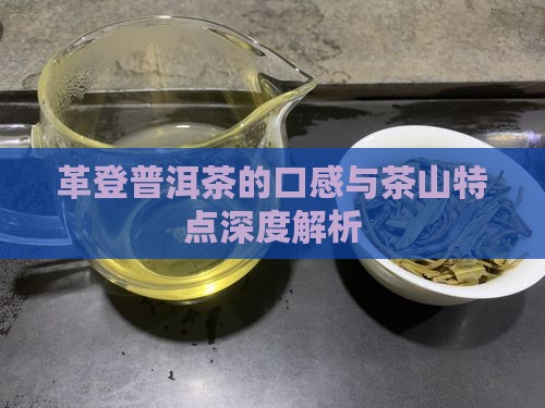 革登普洱茶的口感好深度