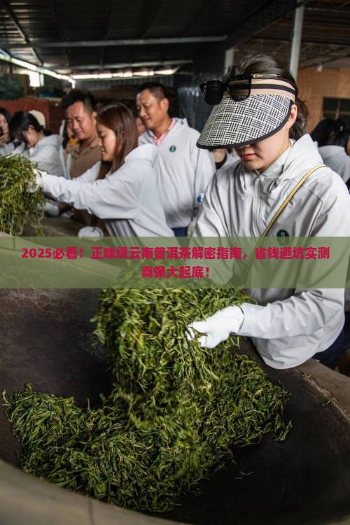正味级云南普洱茶