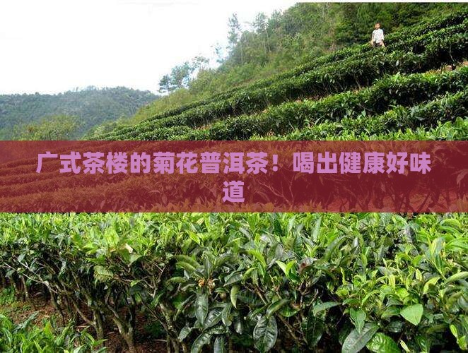 广式茶楼的菊花普洱茶