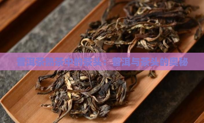熟普洱茶的茶头