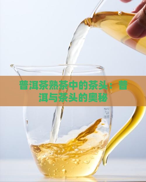 熟普洱茶的茶头