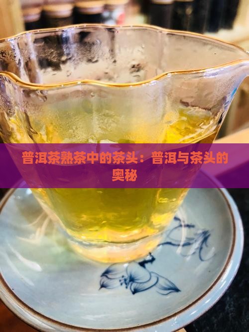 熟普洱茶的茶头