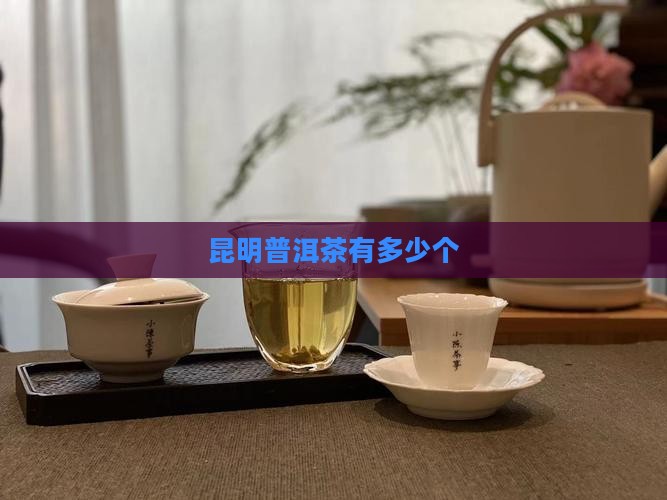 昆明普洱茶有多少个品牌
