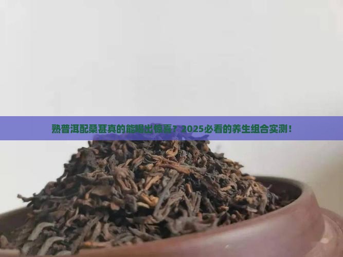 熟普洱和桑葚一起泡水喝