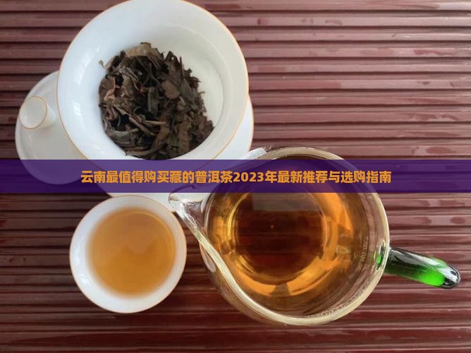 云南最值得购买藏的普洱茶