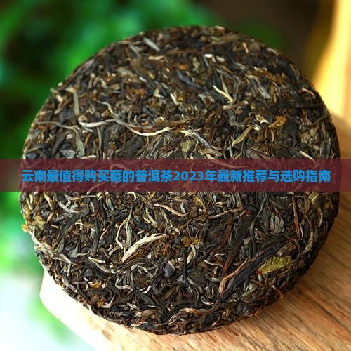 云南最值得购买藏的普洱茶