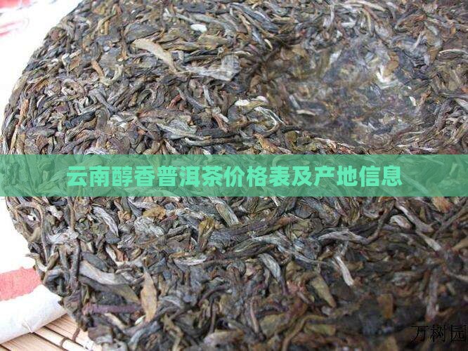 云南醇香普洱茶