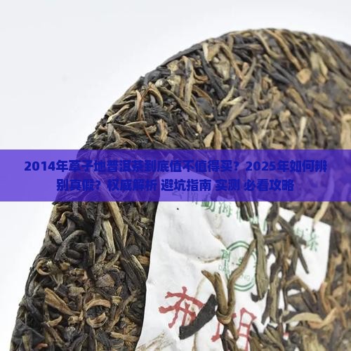 2014年草子地普洱茶