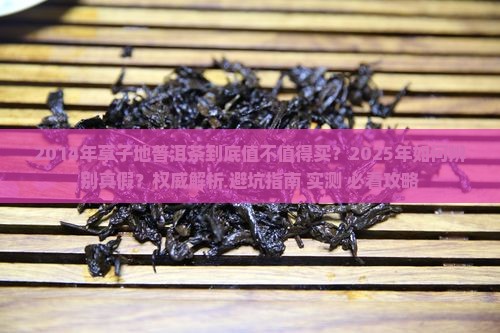 2014年草子地普洱茶