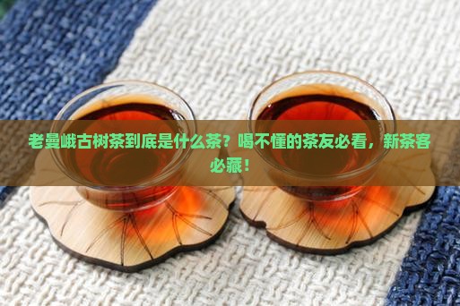 老曼峨古树茶是什么茶
