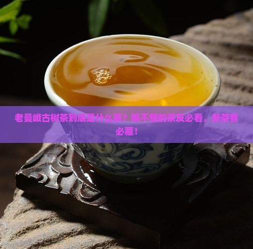 老曼峨古树茶是什么茶