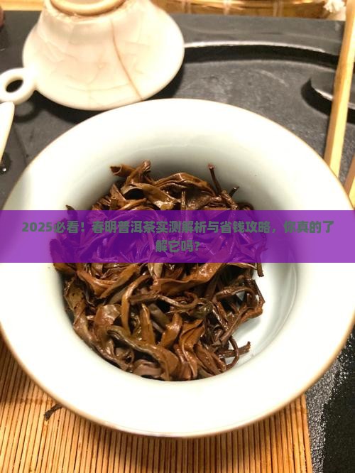 春明普洱茶怎么样