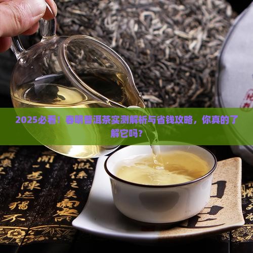 春明普洱茶怎么样