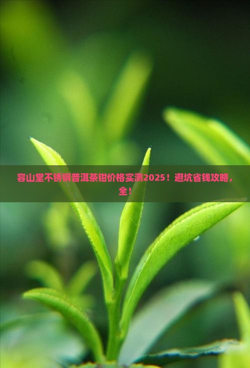 容山堂不锈钢普洱茶钳价格