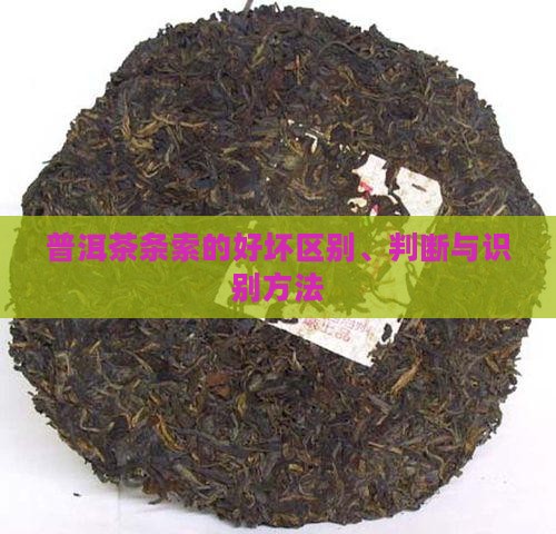 普洱茶条索的好坏