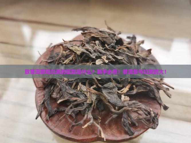 散普洱茶和红茶的区别
