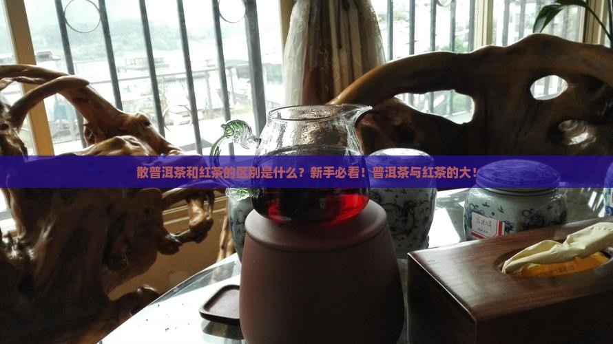 散普洱茶和红茶的区别