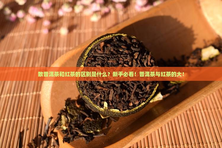 散普洱茶和红茶的区别