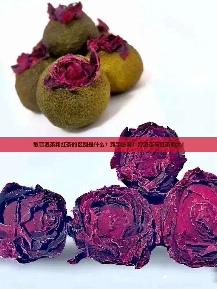 散普洱茶和红茶的区别