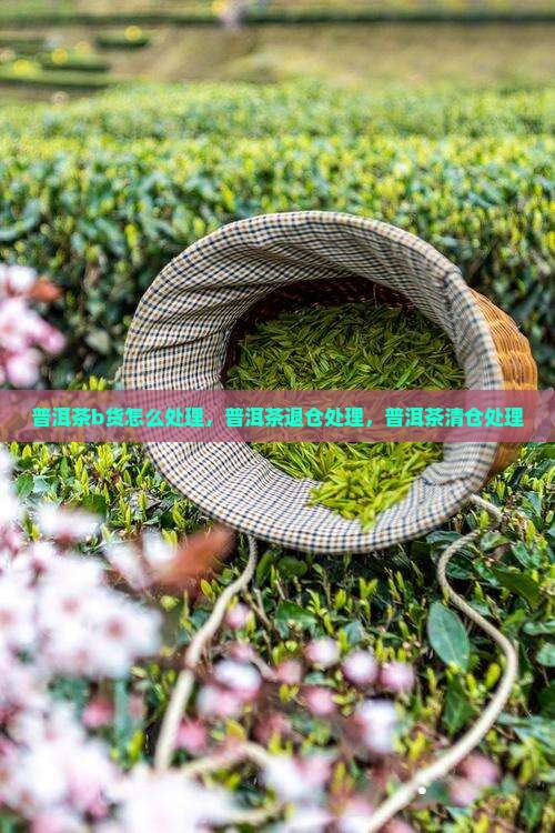 普洱茶b货怎么处理