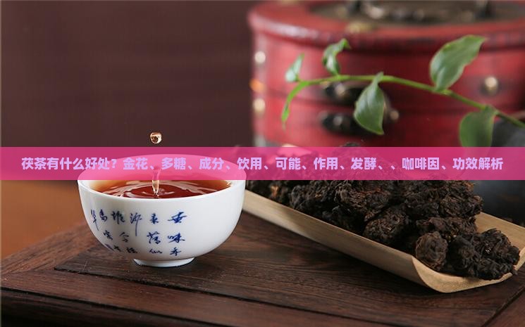 喝茯茶有什么好处