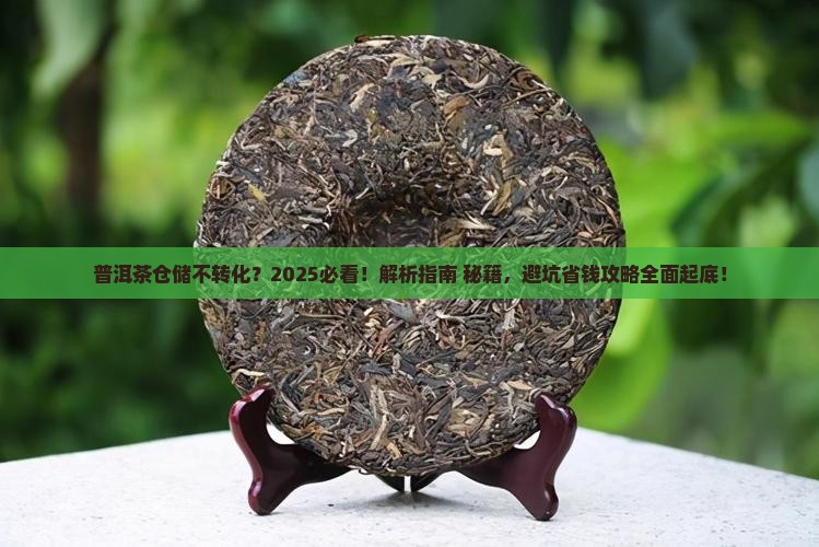 普洱茶仓储不转化