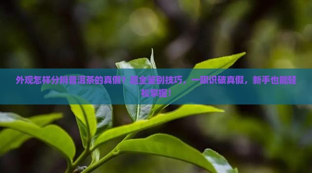 外观怎样分辨普洱茶的真假
