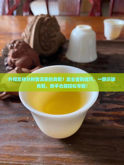 外观怎样分辨普洱茶的真假