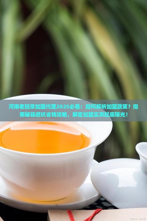 河南老班章品牌加盟代理