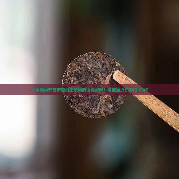 丁家寨雨林古树普洱生茶