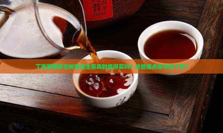 丁家寨雨林古树普洱生茶