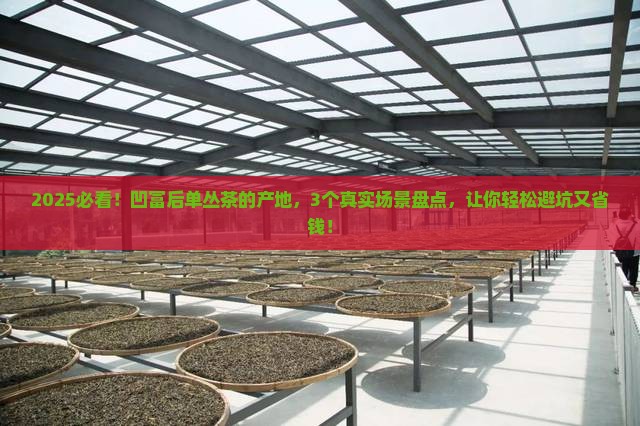 凹富后单丛茶的产地