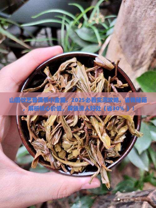 山国饮艺普洱茶小金罐