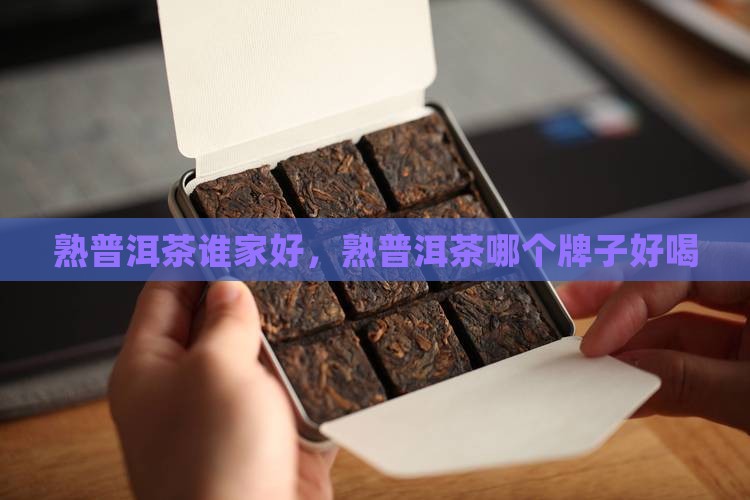 熟普洱茶谁家好