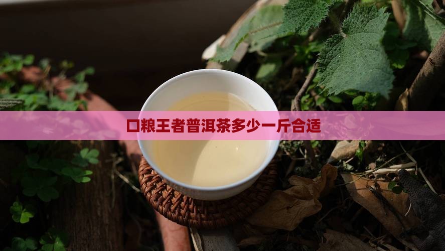 口粮王者普洱茶