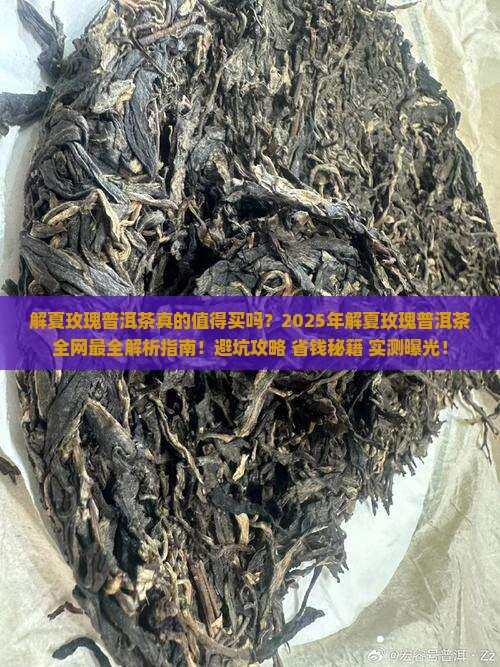 解夏玫瑰普洱茶