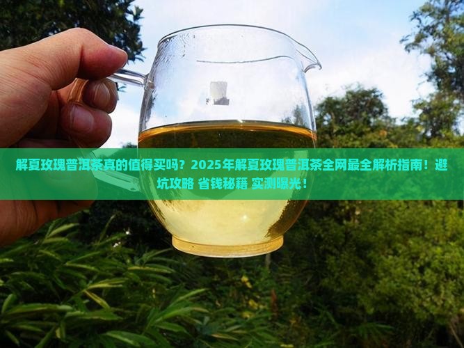 解夏玫瑰普洱茶