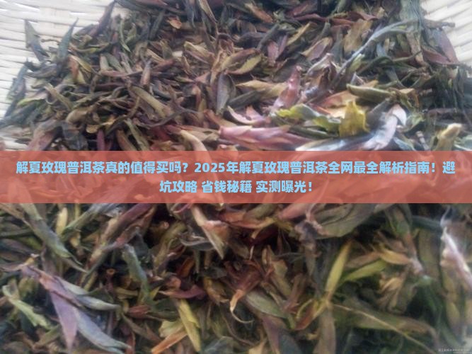 解夏玫瑰普洱茶