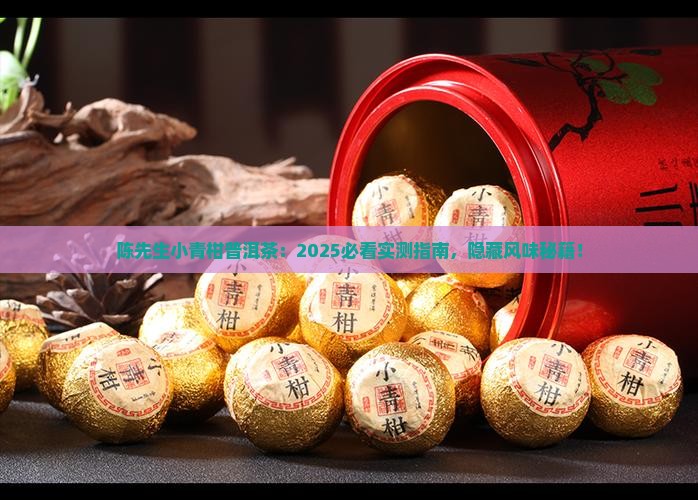 陈先生小青柑普洱茶