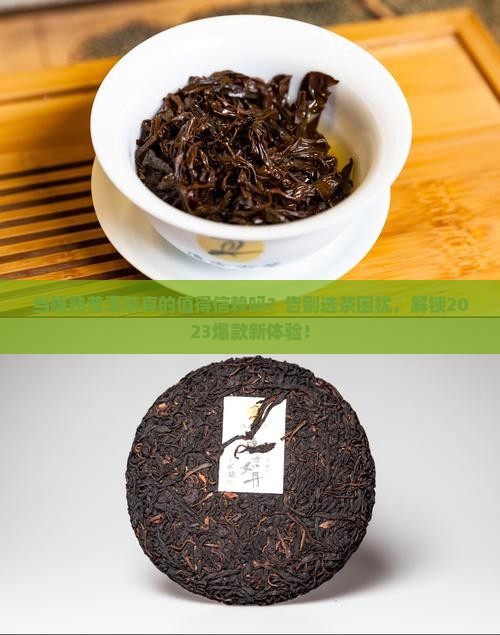 当雄熟普洱茶品牌