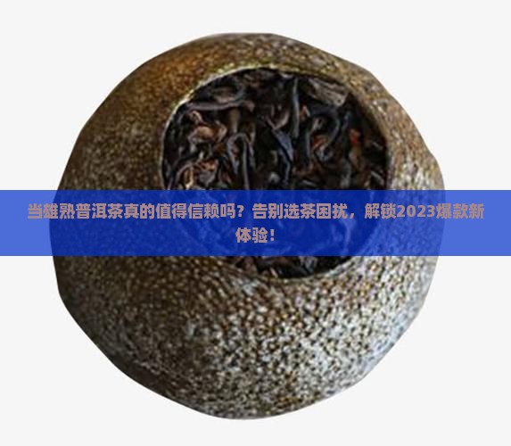 当雄熟普洱茶品牌