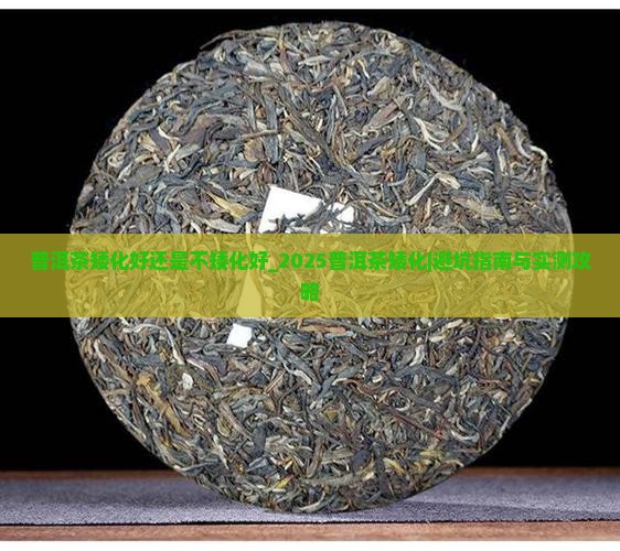 普洱茶矮化好还是不矮化好