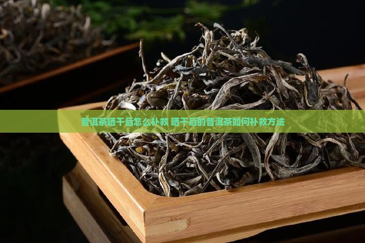 普洱茶晒干后怎么补救