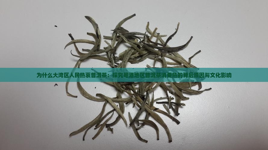 为什么大湾区人民热衷普洱茶：探究粤港地区普洱茶消费热的背后原因与文化影响